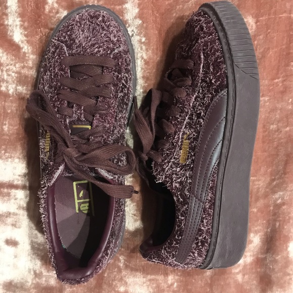 Puma creepers - Picture 2 of 3